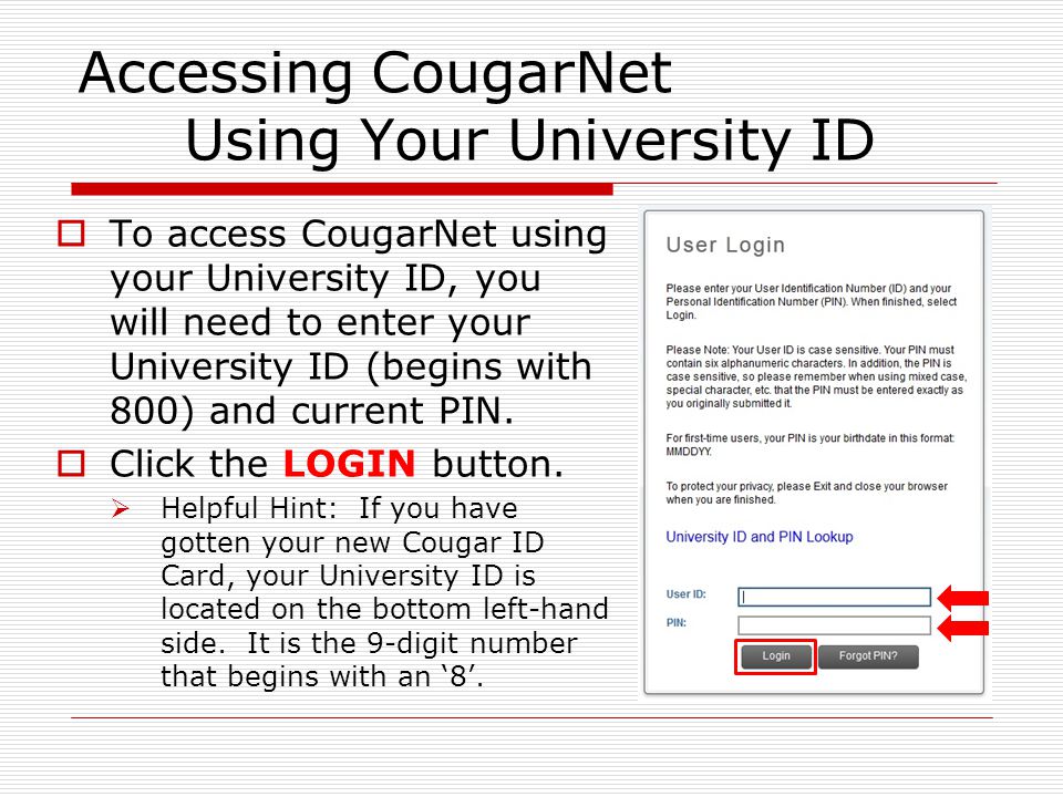 Accessing CougarNet Using Your University ID  To access CougarNet using your University ID, you will need to enter your University ID (begins with 800) and current PIN.