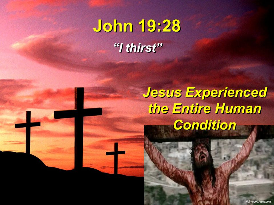 John 19:28 I thirst Jesus Experienced the Entire Human Condition