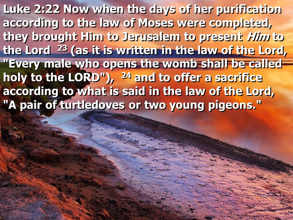 Luke 2:22 Now when the days of her purification according to the law of Moses were completed, they brought Him to Jerusalem to present Him to the Lord 23 (as it is written in the law of the Lord, Every male who opens the womb shall be called holy to the LORD ), 24 and to offer a sacrifice according to what is said in the law of the Lord, A pair of turtledoves or two young pigeons.