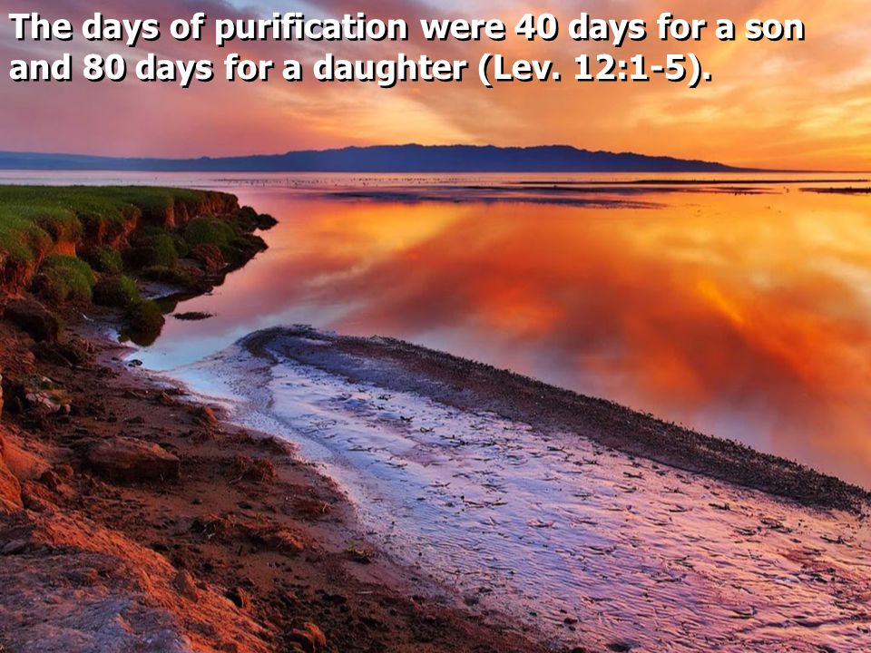 The days of purification were 40 days for a son and 80 days for a daughter (Lev. 12:1-5).