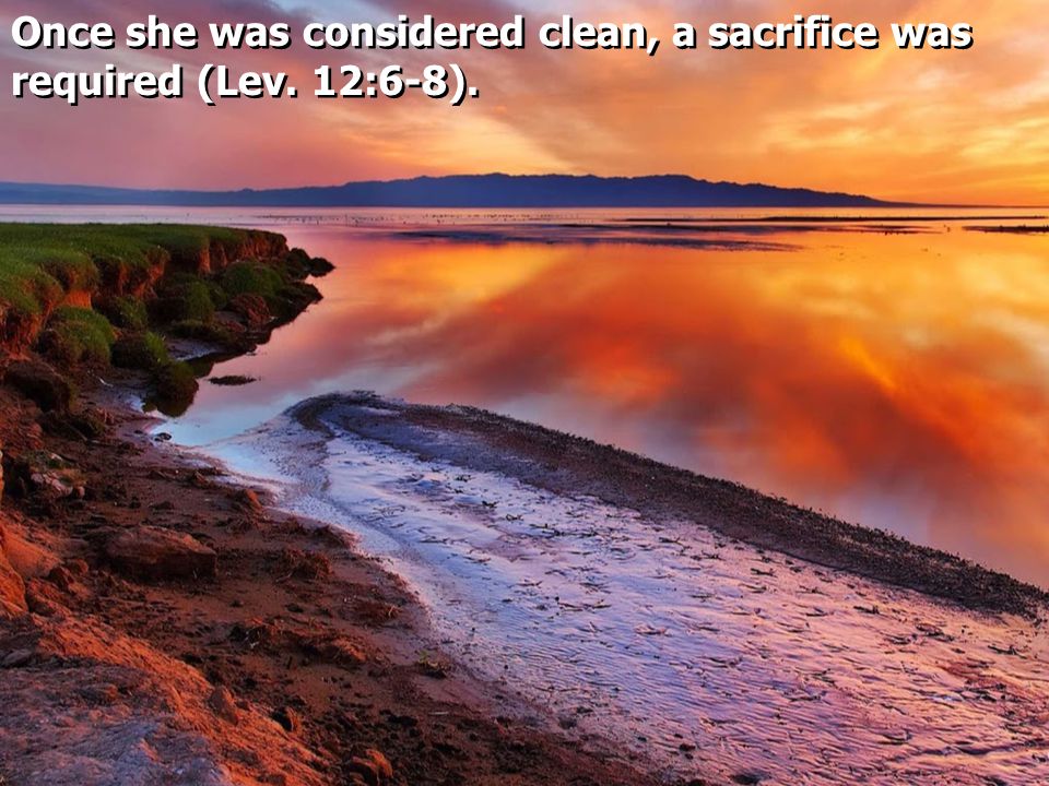 Once she was considered clean, a sacrifice was required (Lev. 12:6-8).
