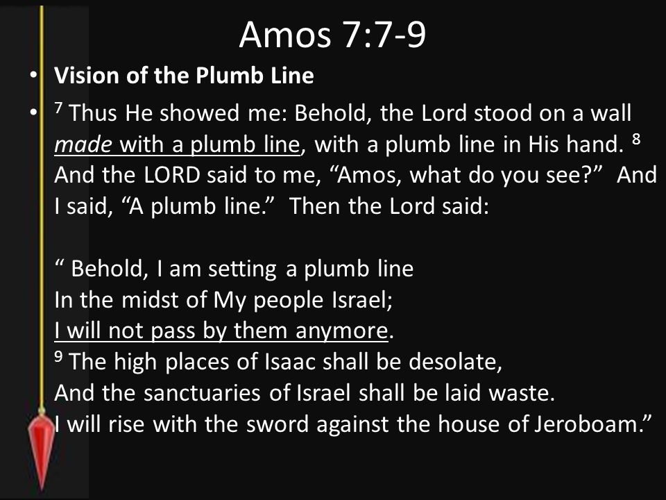 Vision of the Plumb Line 7 Thus He showed me: Behold, the Lord stood on a wall made with a plumb line, with a plumb line in His hand.