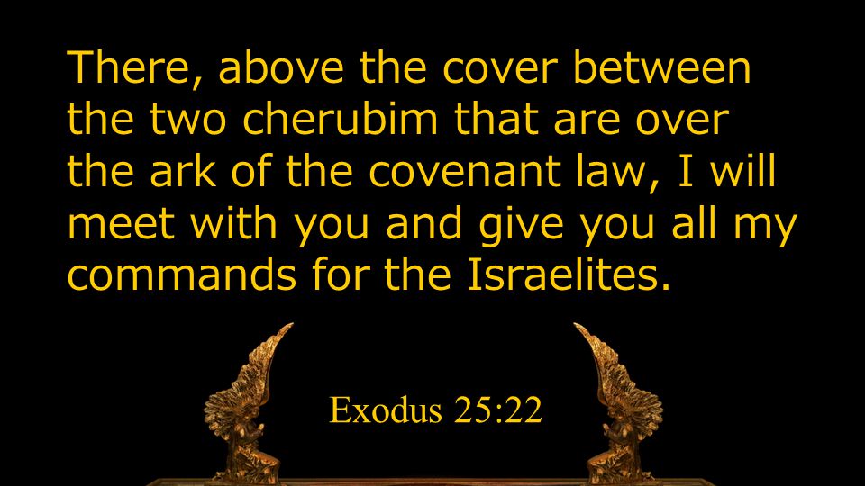 There, above the cover between the two cherubim that are over the ark of the covenant law, I will meet with you and give you all my commands for the Israelites.
