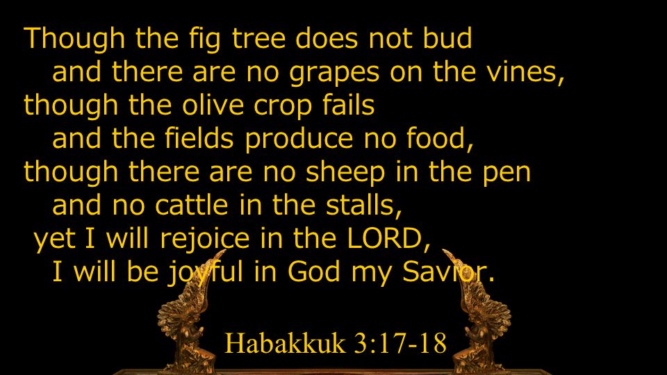 Though the fig tree does not bud and there are no grapes on the vines, though the olive crop fails and the fields produce no food, though there are no sheep in the pen and no cattle in the stalls, yet I will rejoice in the LORD, I will be joyful in God my Savior.