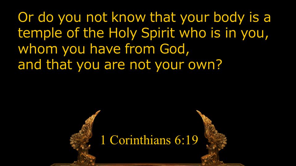 Or do you not know that your body is a temple of the Holy Spirit who is in you, whom you have from God, and that you are not your own.