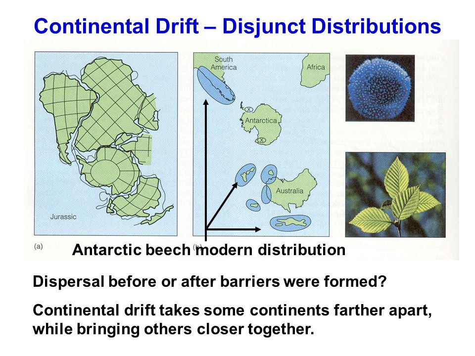 Factors Limiting Distribution: Dispersal – Chapter ppt download