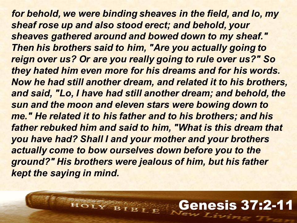 Genesis 32:1-2 for behold, we were binding sheaves in the field, and lo, my sheaf rose up and also stood erect; and behold, your sheaves gathered around and bowed down to my sheaf. Then his brothers said to him, Are you actually going to reign over us.
