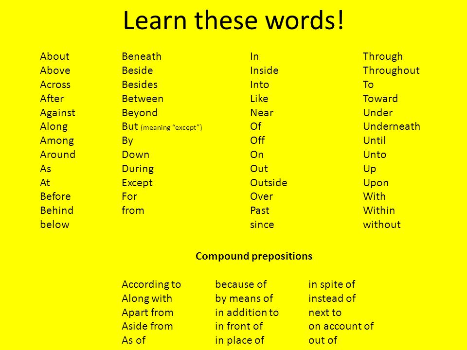 Learn these words.