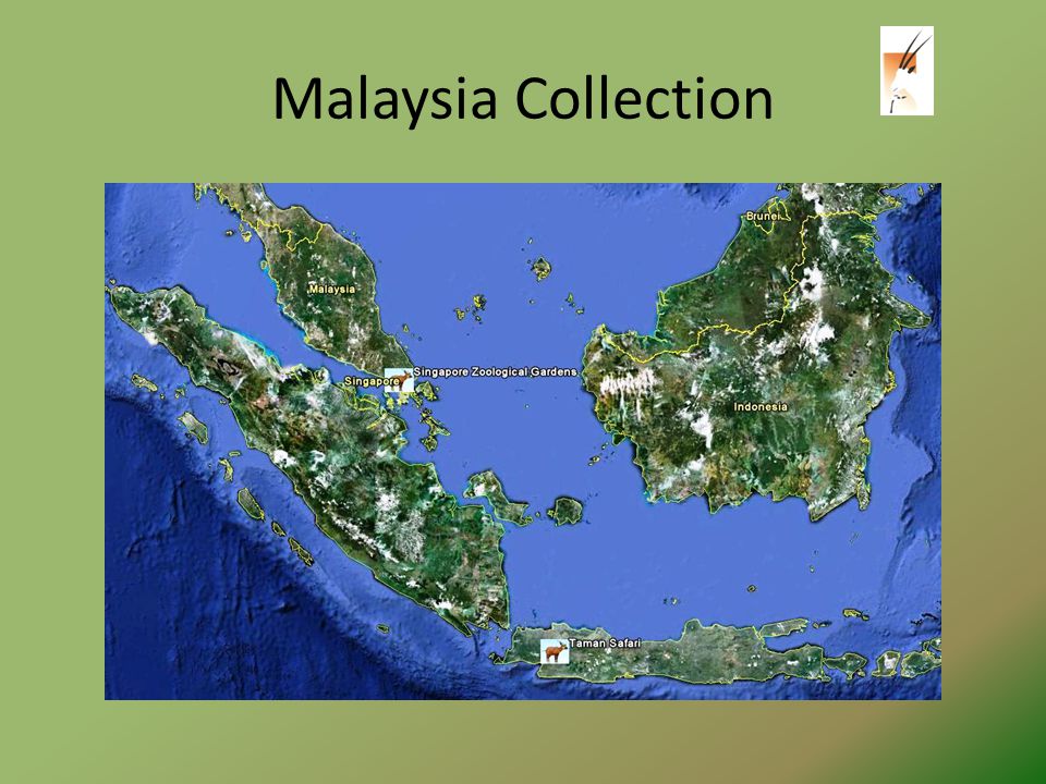 Malaysia Collection