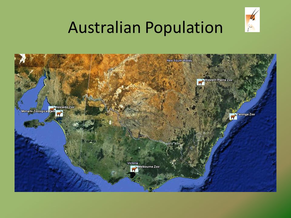 Australian Population