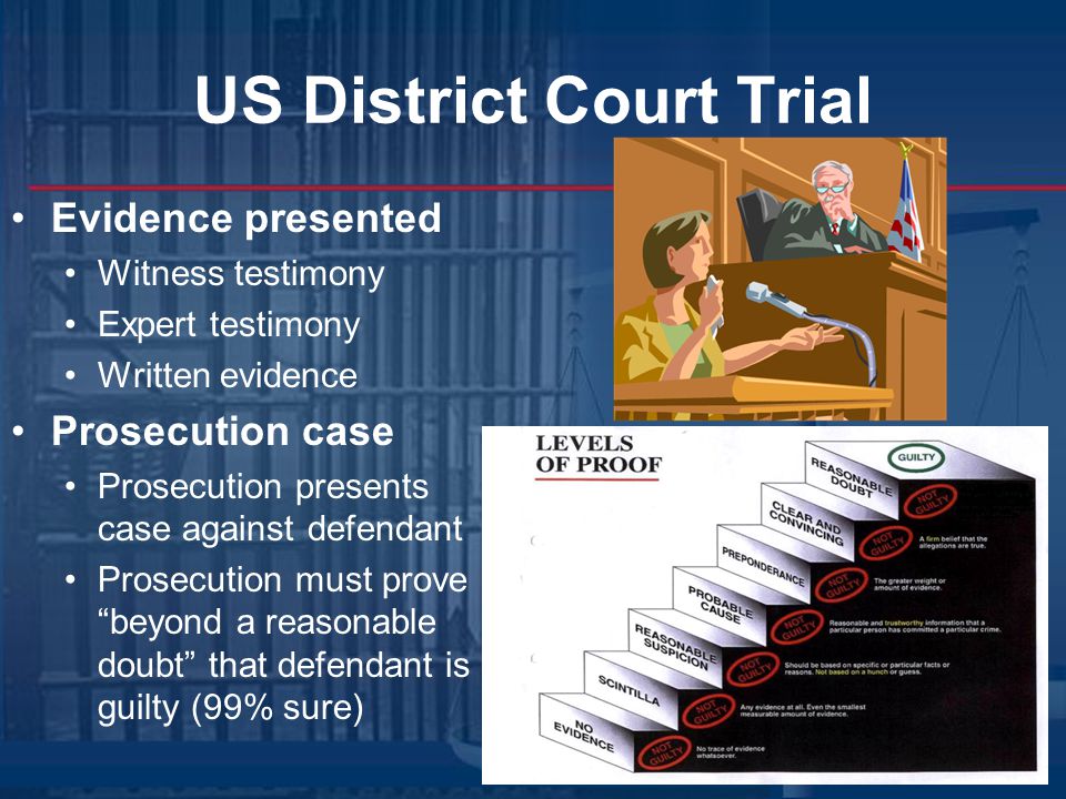US District Court Trial Evidence presented Witness testimony Expert testimony Written evidence Prosecution case Prosecution presents case against defendant Prosecution must prove beyond a reasonable doubt that defendant is guilty (99% sure)
