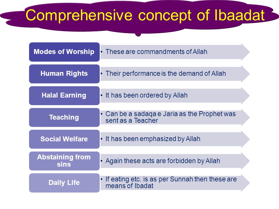 Scope of Islam Comprehensive concept of Ibaadat These are commandments of Allah Modes of Worship Their performance is the demand of Allah Human Rights It has been ordered by Allah Halal Earning Can be a sadaqa e Jaria as the Prophet was sent as a Teacher Teaching It has been emphasized by Allah Social Welfare Again these acts are forbidden by Allah Abstaining from sins If eating etc.
