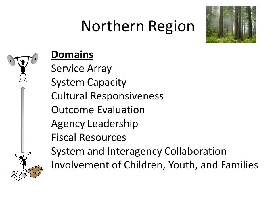 Northern Region Domains Service Array System Capacity Cultural Responsiveness Outcome Evaluation Agency Leadership Fiscal Resources System and Interagency Collaboration Involvement of Children, Youth, and Families