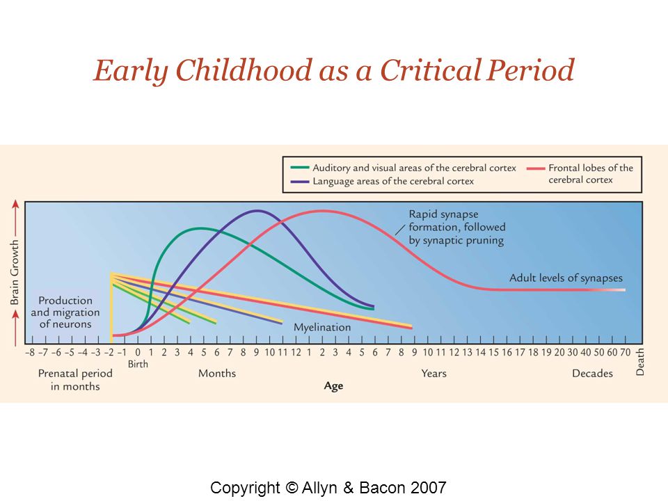 Copyright © Allyn & Bacon 2007 Early Childhood as a Critical Period