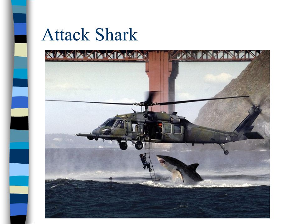 Attack Shark