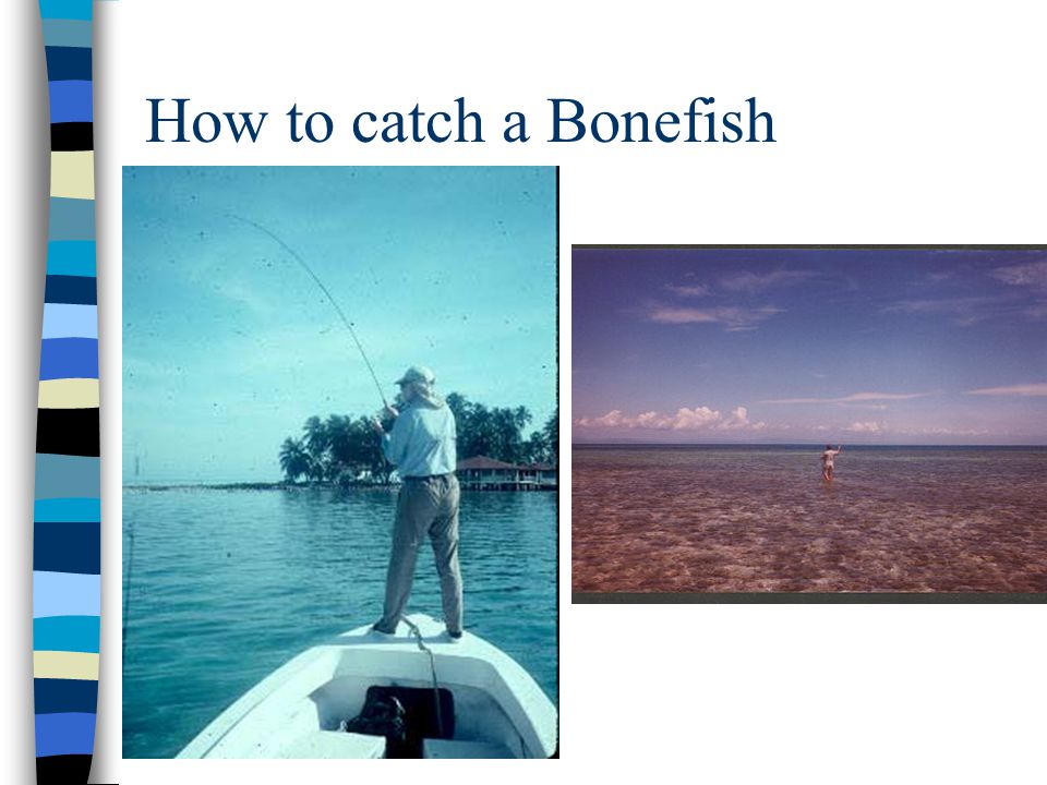 How to catch a Bonefish