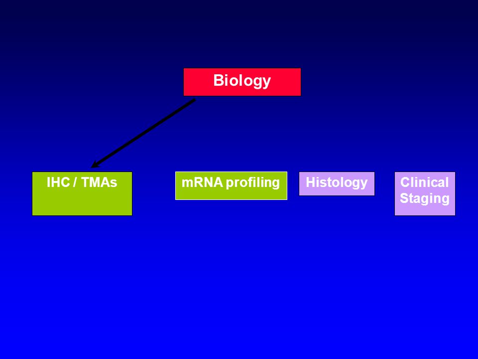 HistologyClinical Staging Biology IHC / TMAsmRNA profiling