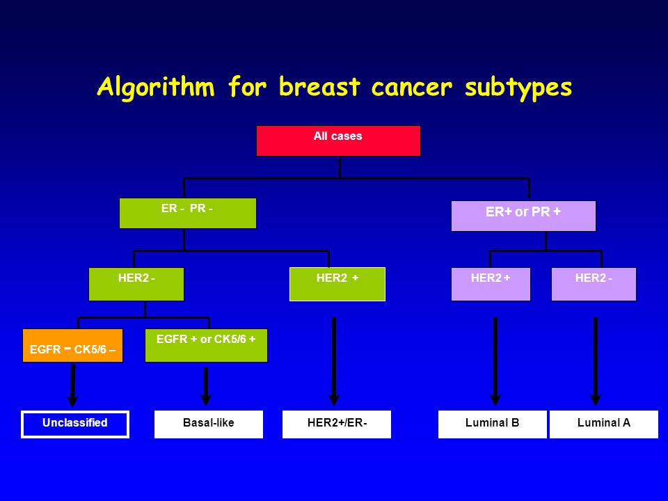 Algorithm for breast cancer subtypes HER2 +HER2 - EGFR + or CK5/6 + EGFR - CK5/6 – UnclassifiedBasal-like All cases ER - PR - ER+ or PR + HER2 -HER2 + HER2+/ER-Luminal BLuminal A