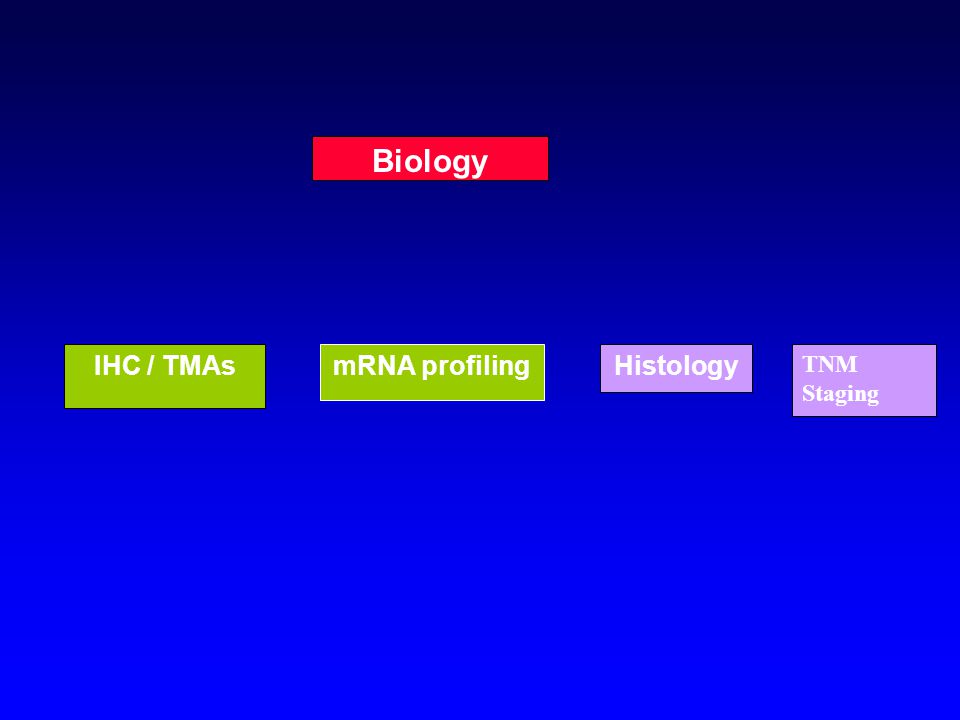 Histology TNM Staging Biology IHC / TMAsmRNA profiling