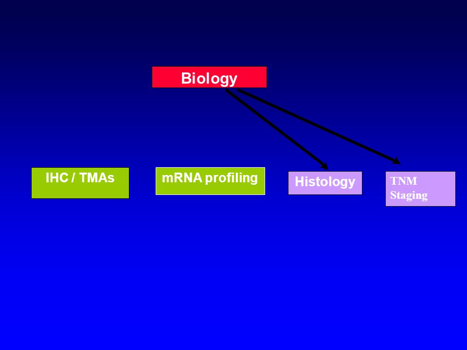 Histology Biology IHC / TMAsmRNA profiling TNM Staging