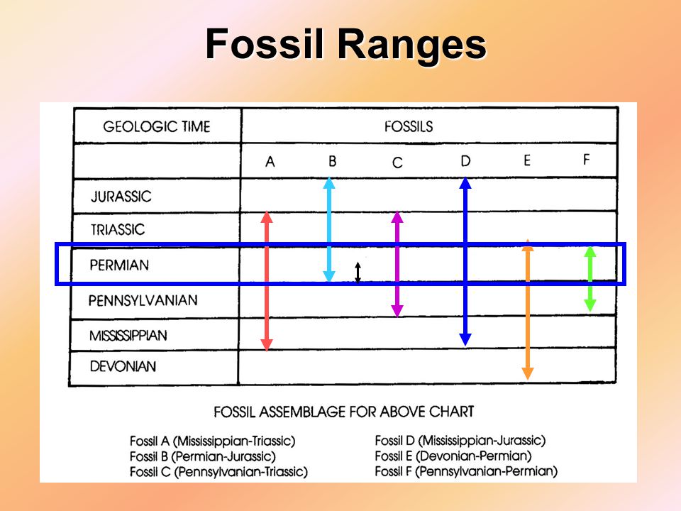 Fossil Range Chart