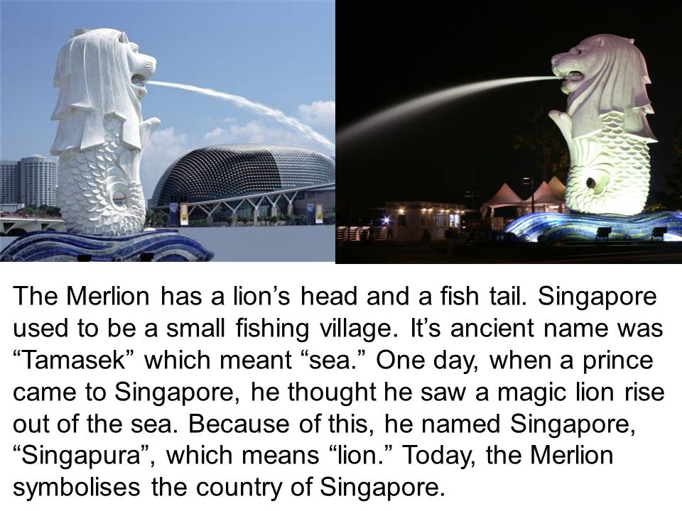 The Merlion has a lion’s head and a fish tail. Singapore used to be a small fishing village.