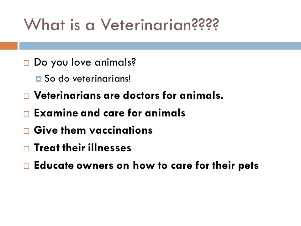  Do you love animals.  So do veterinarians.  Veterinarians are doctors for animals.