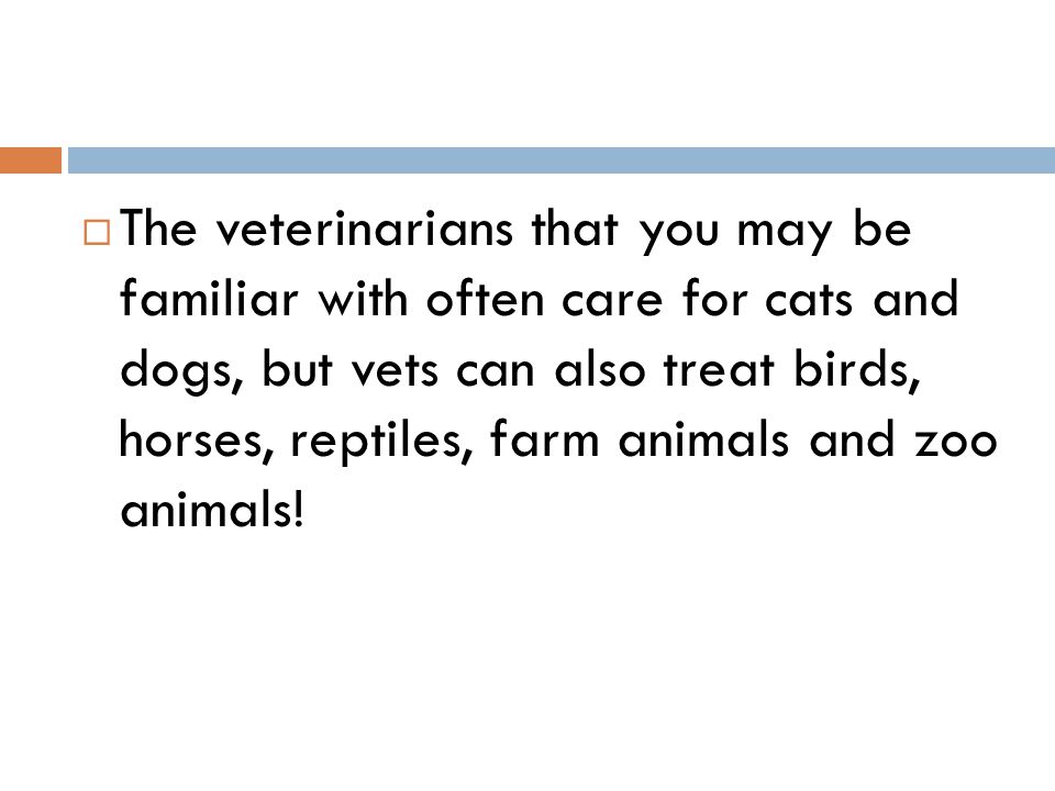  The veterinarians that you may be familiar with often care for cats and dogs, but vets can also treat birds, horses, reptiles, farm animals and zoo animals!