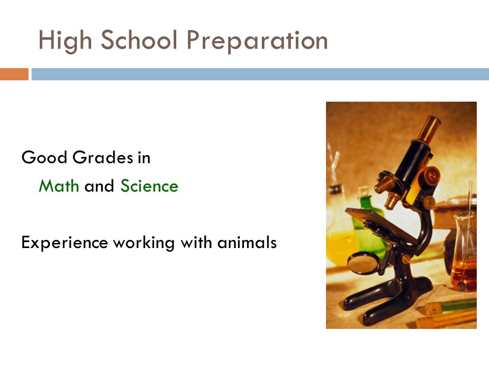 High School Preparation Good Grades in Math and Science Experience working with animals