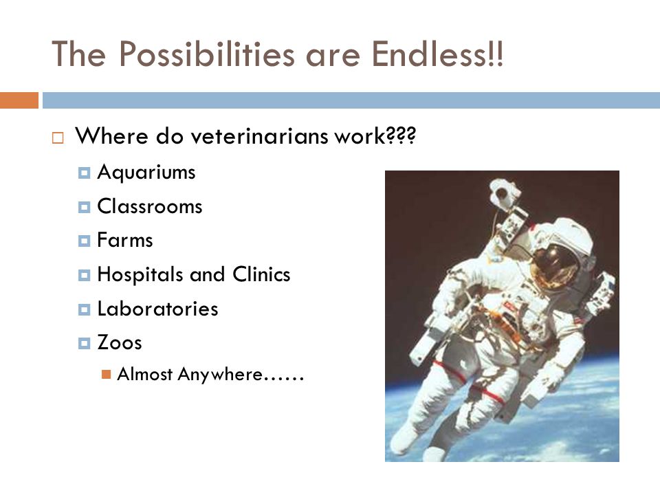 The Possibilities are Endless!.  Where do veterinarians work .