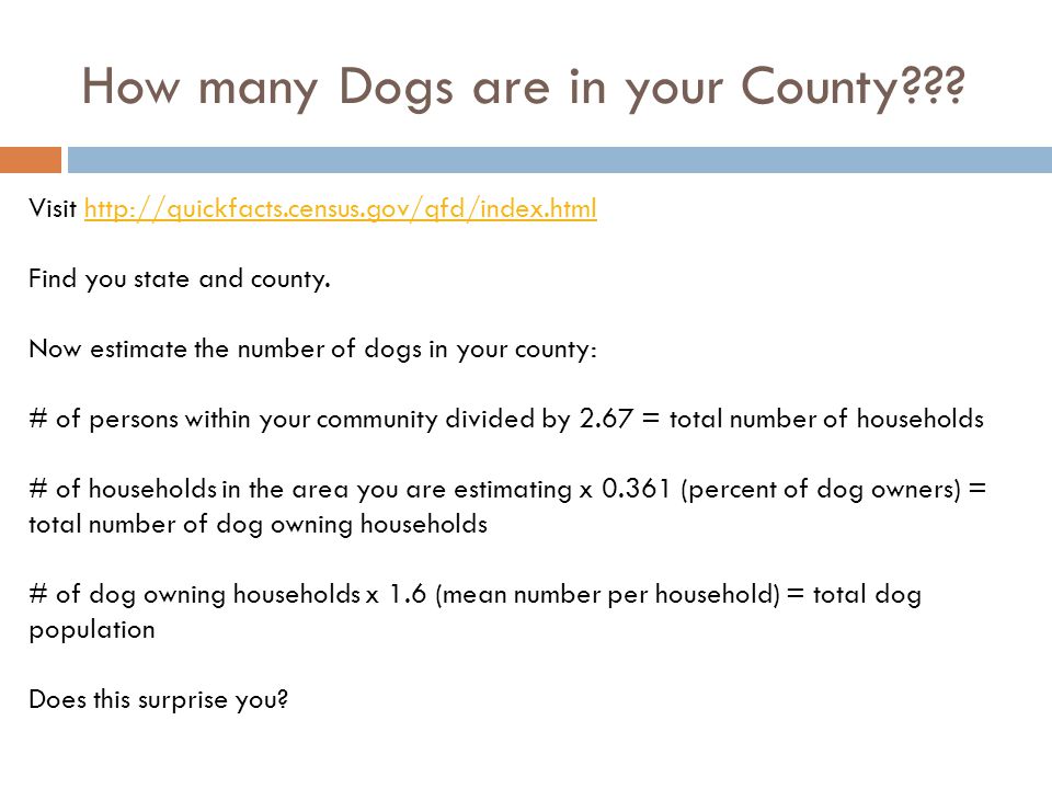 How many Dogs are in your County .