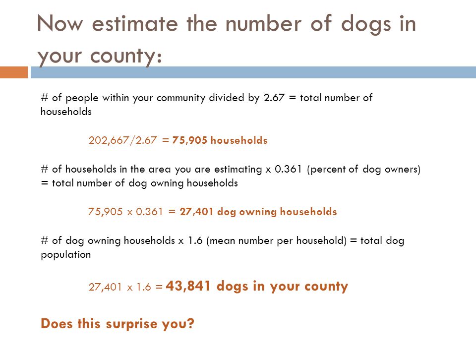 Now estimate the number of dogs in your county: # of people within your community divided by 2.67 = total number of households 202,667/2.67 = 75,905 households # of households in the area you are estimating x (percent of dog owners) = total number of dog owning households 75,905 x = 27,401 dog owning households # of dog owning households x 1.6 (mean number per household) = total dog population 27,401 x 1.6 = 43,841 dogs in your county Does this surprise you