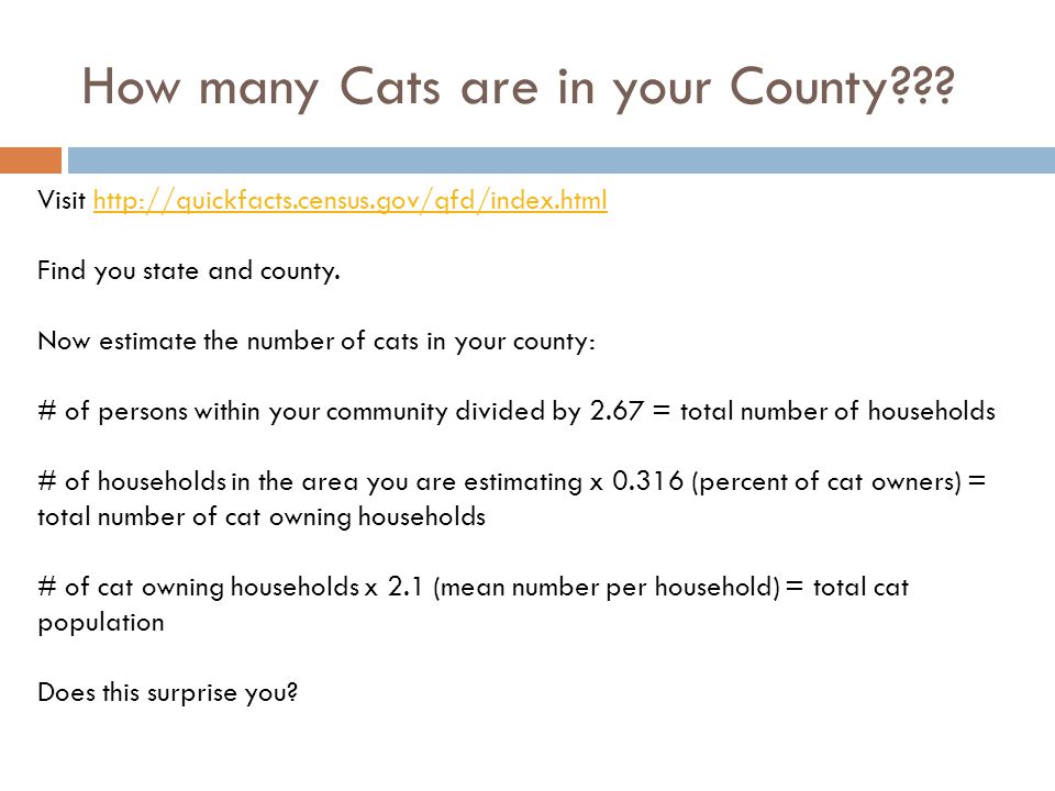 How many Cats are in your County .