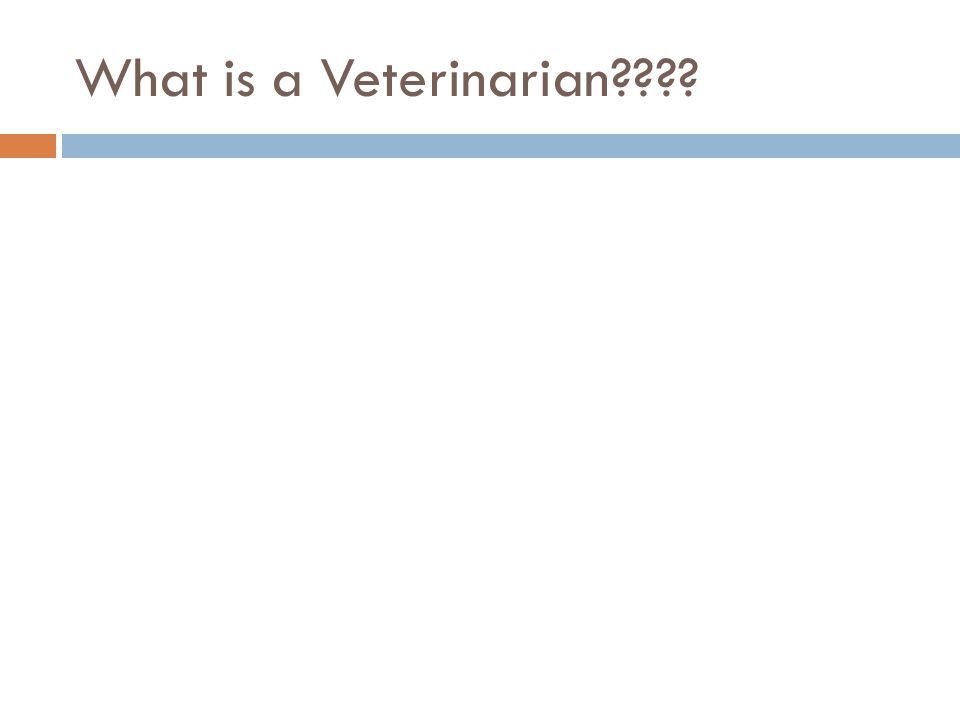 What is a Veterinarian