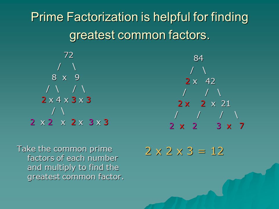 Factors of 2 - Find Prime Factorization/Factors of 2