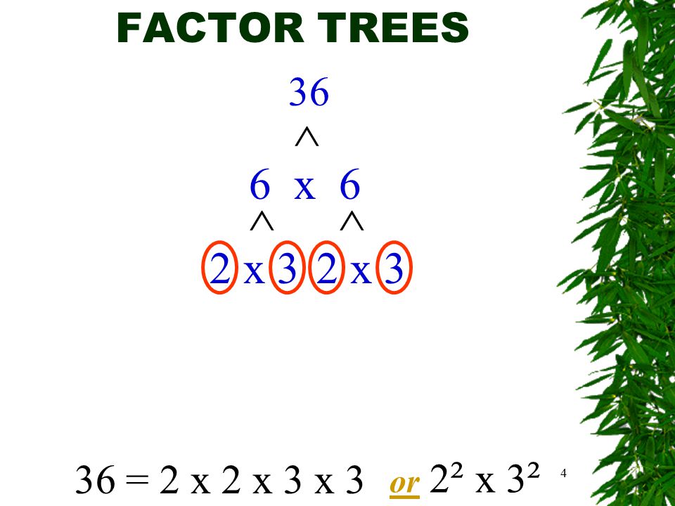 4 FACTOR TREES 36 6 x 6 ^ ^ 2 x 3 ^ 36 = 2 x 2 x 3 x 3 or 2 ² x 3²3²