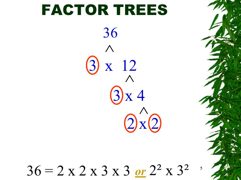 5 FACTOR TREES 36 3 x 12 ^ ^ 3 x 4 36 = 2 x 2 x 3 x 3 2 x 2 ^ or 2 ² x 3²3²