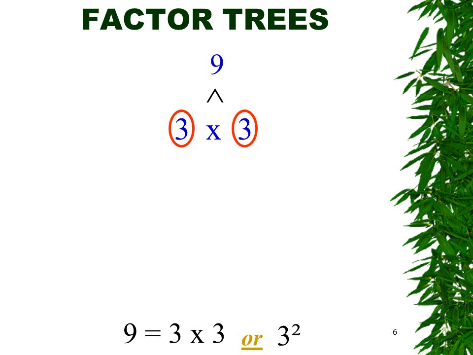 6 FACTOR TREES 9 3 x 3 ^ 9 = 3 x 3 or 3²3²