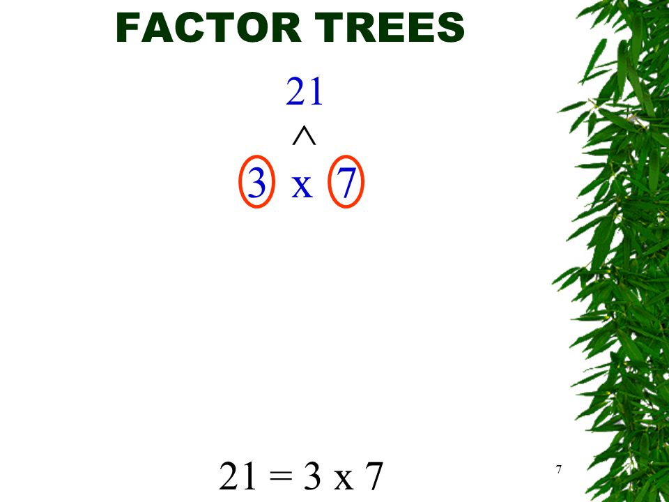 7 FACTOR TREES 21 3 x 7 ^ 21 = 3 x 7