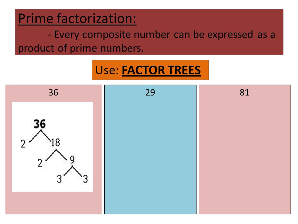 Prime factorization: - Every composite number can be expressed as a product of prime numbers.