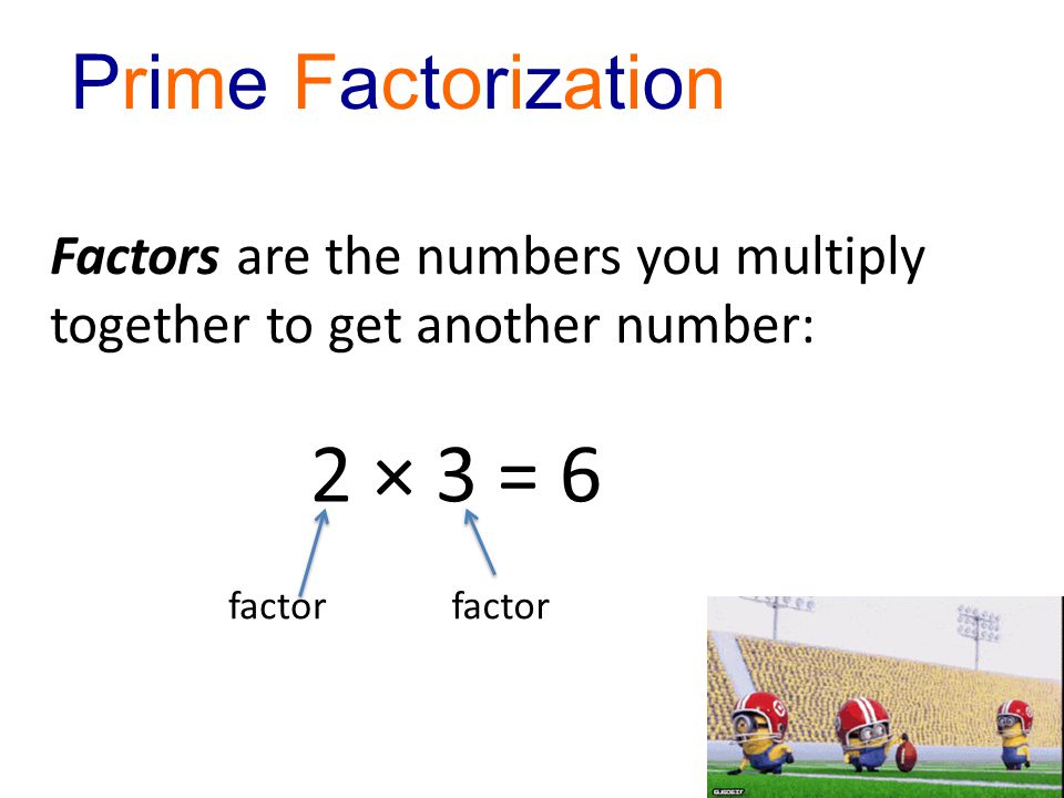 Prime Factorization Factors are the numbers you multiply together to get another number: 2 × 3 = 6 factor
