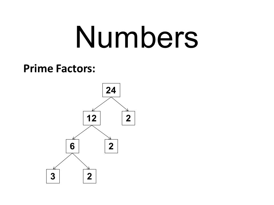 Numbers Prime Factors: