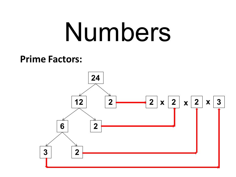 Numbers Prime Factors: x x x