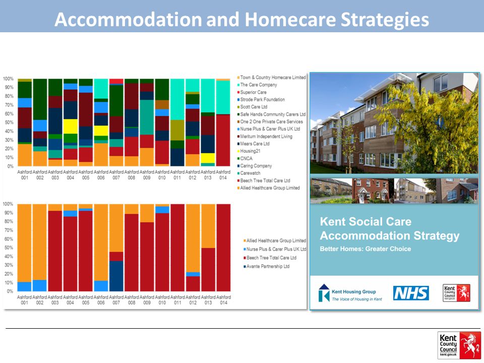 Accommodation and Homecare Strategies