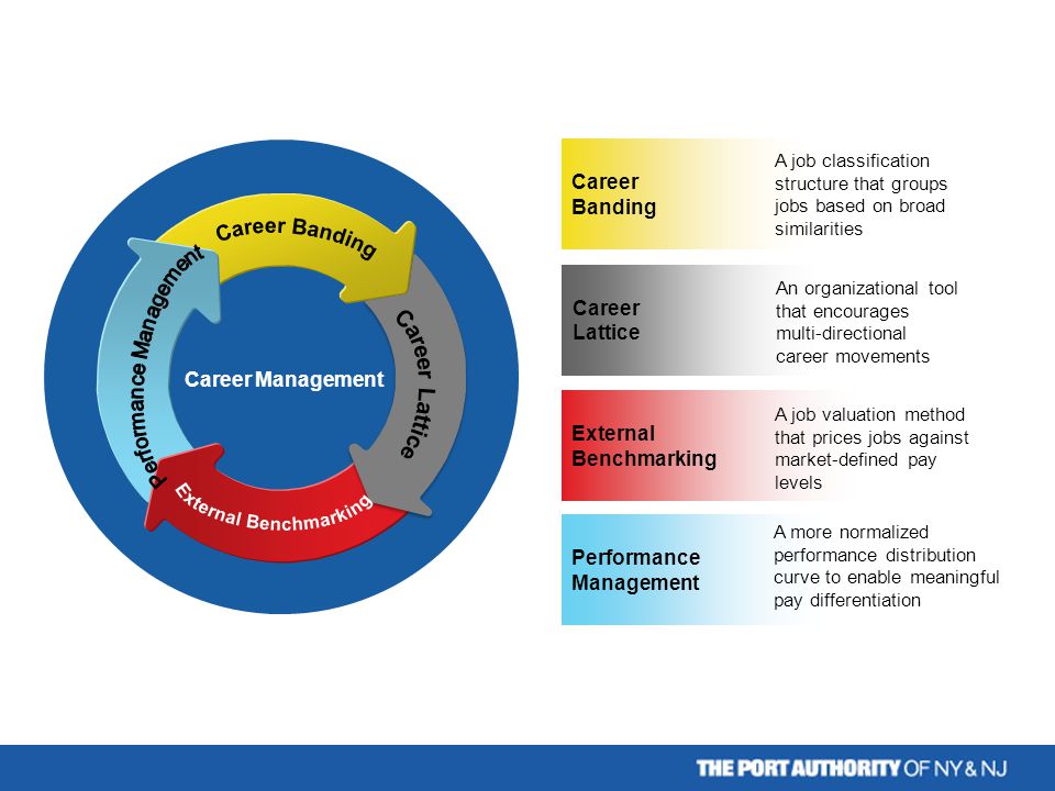 External Benchmarking Career Management Career Banding A job classification structure that groups jobs based on broad similarities Performance Management A job valuation method that prices jobs against market-defined pay levels Career Lattice An organizational tool that encourages multi-directional career movements A more normalized performance distribution curve to enable meaningful pay differentiation