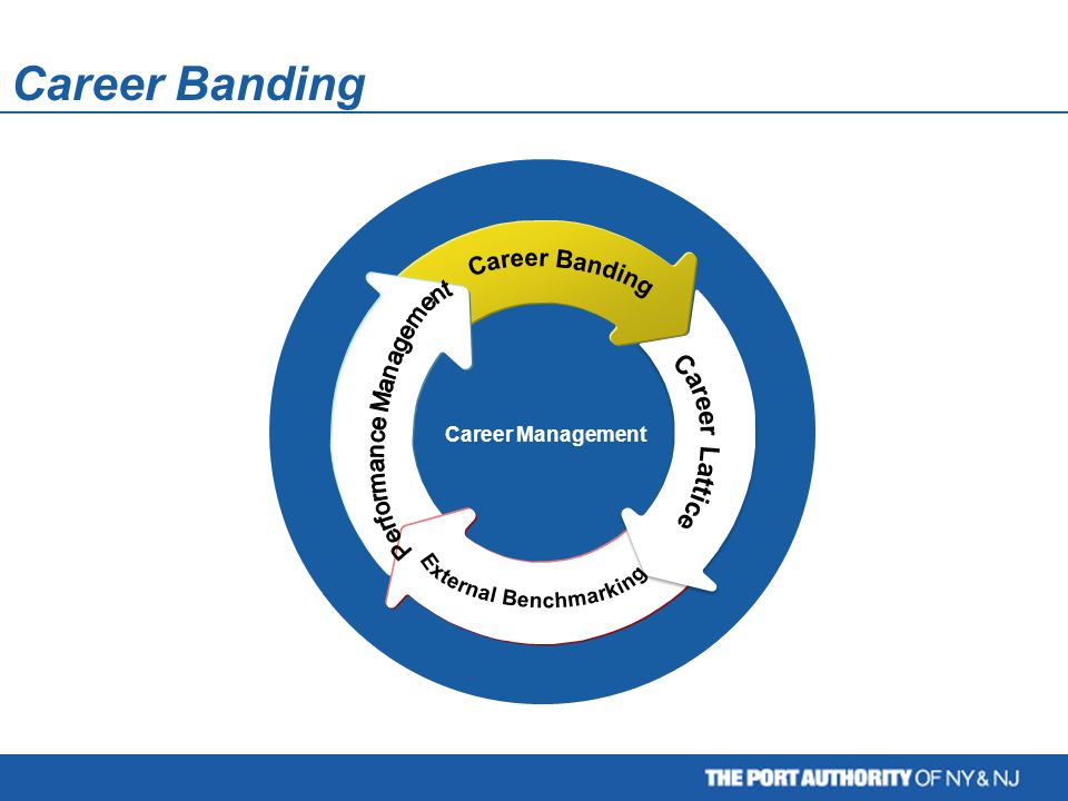 Career Management Career Banding