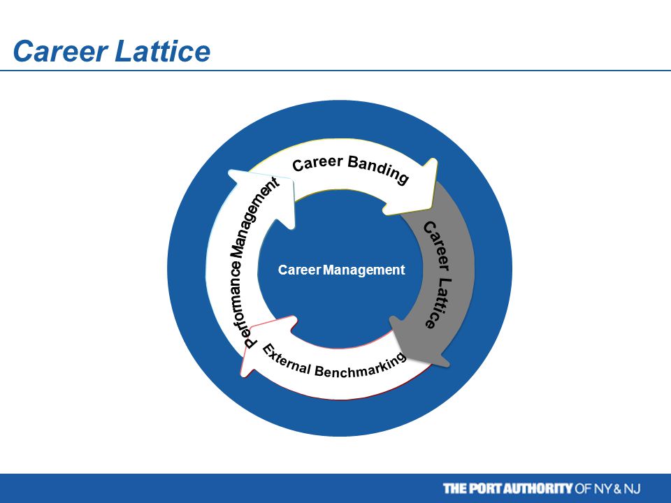 Career Management Career Lattice