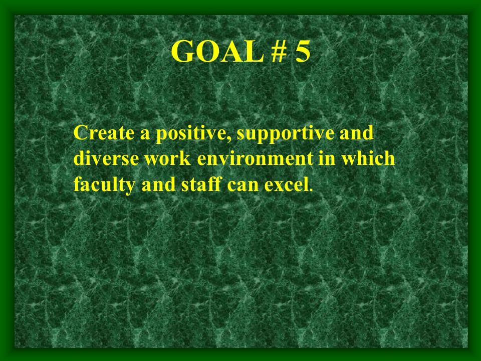 Create a positive, supportive and diverse work environment in which faculty and staff can excel.