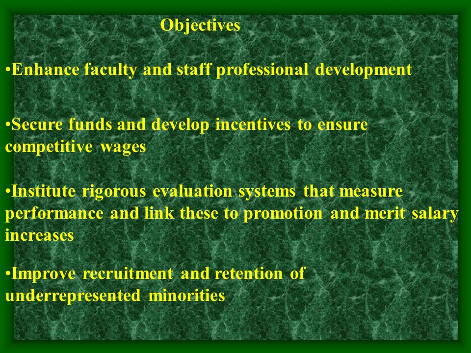 Objectives Enhance faculty and staff professional development Secure funds and develop incentives to ensure competitive wages Institute rigorous evaluation systems that measure performance and link these to promotion and merit salary increases Improve recruitment and retention of underrepresented minorities