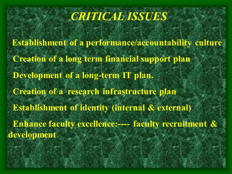 CRITICAL ISSUES Establishment of a performance/accountability culture Creation of a long term financial support plan Development of a long-term IT plan.